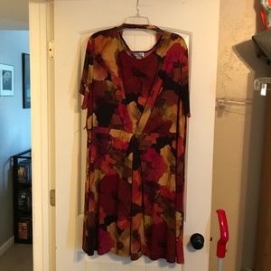 North Style Skater Dress, 3x